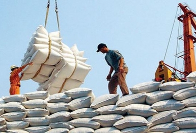 Xuất khẩu nông, lâm, thủy sản vượt mốc 29 tỷ USD trong 7 tháng
