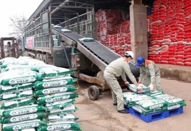Giá phân bón hôm nay 8/8: Sức mua yếu