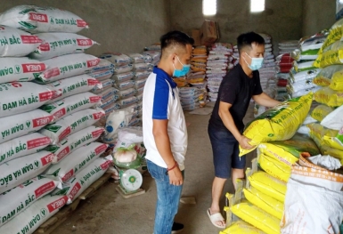 Giá phân bón hôm nay 10/8: Nhập khẩu NPK tăng