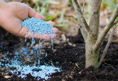 Giá phân bón hôm nay 13/8: Giữ ổn định