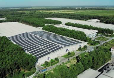 Doanh nghiệp F&B trong bức tranh chung về Net Zero