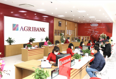 Nợ xấu 'khổng lồ', Agribank liên tục rao bán tài sản có giá từ trăm triệu đến hàng nghìn tỷ