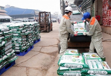 Giá phân bón hôm nay 17/8: Kali Lào ổn định