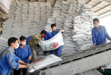 Giá phân bón hôm nay 18/8: Ure tạm chững, DAP giảm