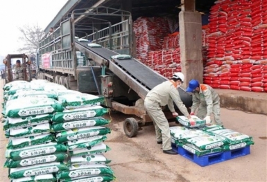 Giá phân bón hôm nay 19/8: Ure tạm chững, DAP một số khu vực giảm