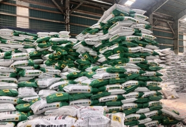 Giá phân bón hôm nay 23/8: Chào giá DAP Trung Quốc giảm