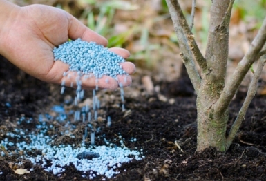 Giá phân bón hôm nay 29/8: Giao dịch trầm lắng