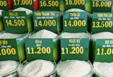 Giá xăng dầu, giá gạo và giá nhà ở thuê tăng đẩy CPI tháng 8 tăng 0,88%