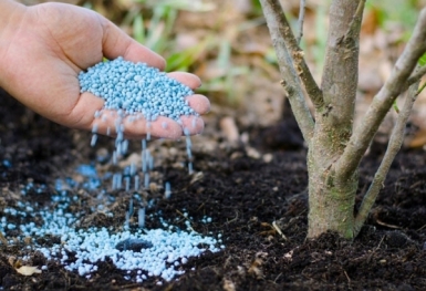 Giá phân bón hôm nay 2/9: Thị trường trầm lắng