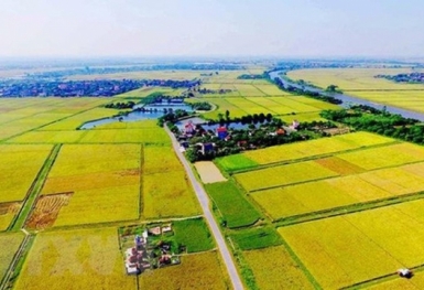 Các nguyên tắc bồi thường khi thu hồi đất nông nghiệp