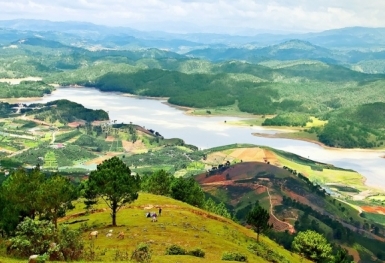 Tin bất động sản ngày 7/9: Lâm Đồng thông tin về đề xuất “siêu dự án” hơn 30.000 tỷ đồng