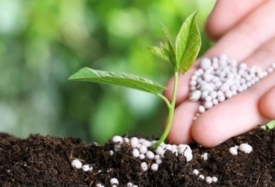 Giá phân bón hôm nay 9/9: DAP, Kali suy yếu