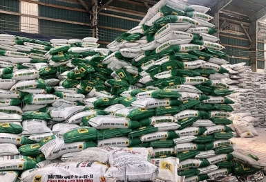 Giá phân bón hôm nay 11/9: Giao dịch lặng sóng