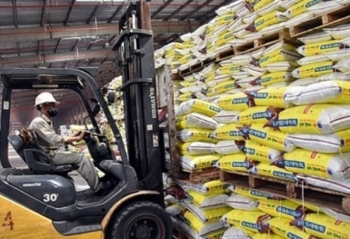 Giá phân bón hôm nay 12/9: Thị trường ít biến động