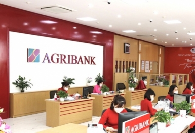 Tin ngân hàng ngày 14/9: Agribank bán đấu giá khoản nợ nghìn tỷ của Bến du thuyền Hoàng Gia