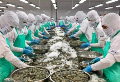 Xuất khẩu tôm sang Mỹ hai lần lập đỉnh trong 10 năm qua