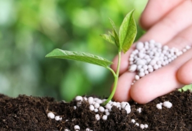 Giá phân bón hôm nay 18/9: DAP Đình Vũ tạm chững