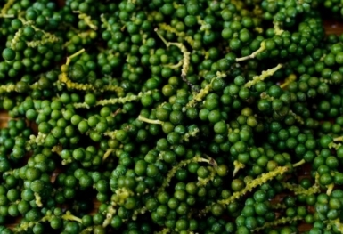 Giá tiêu hôm nay 18/9: Giữ ổn định