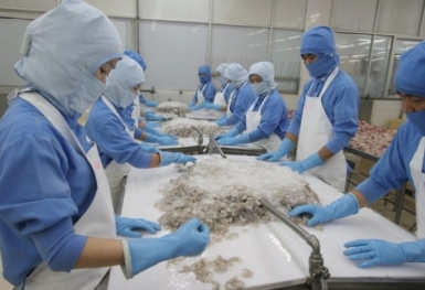 Xuất khẩu tôm sang Mỹ và Trung Quốc tiếp đà tăng