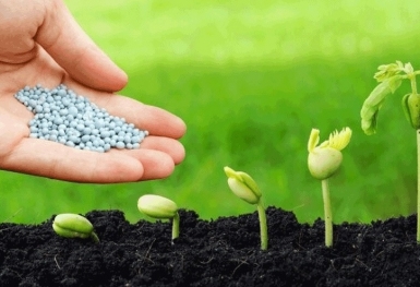 Giá phân bón hôm nay 22/9: Nhu cầu tiêu thụ Ure ở mức thấp