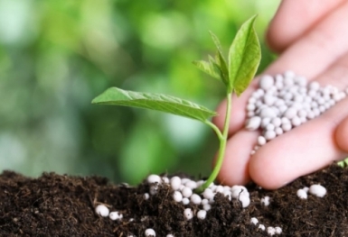 Giá phân bón hôm nay 23/9: Chào giá Kali tại thị trường nội địa giảm