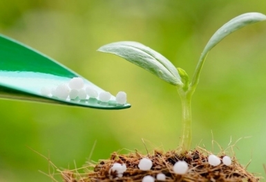 Giá phân bón hôm nay 25/9: Giao dịch trầm lắng