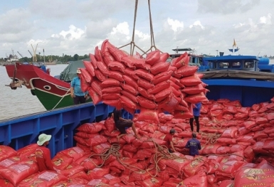 Thời cơ vàng cho lúa gạo Việt Nam