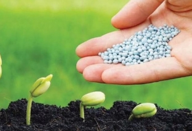 Giá phân bón hôm nay 30/9: Giao dịch trầm lắng