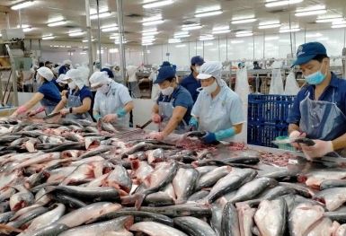 Xuất khẩu thủy sản sang Mỹ, Trung Quốc và Nhật Bản đều vượt mốc 1 tỷ USD