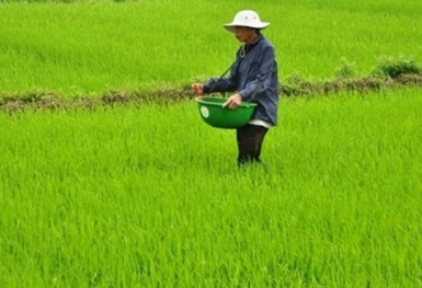 Giá phân bón hôm nay 3/10: Nhu cầu tiêu thụ hạn chế