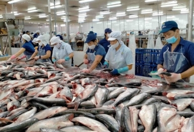 Xuất khẩu cá tra sang Mỹ mang về gần 200 triệu USD