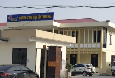 Xử phạt nhiều doanh nghiệp ở Thanh Hóa do vi phạm về môi trường