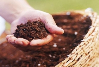 Giá phân bón hôm nay 19/10: Giao dịch ở mức thấp