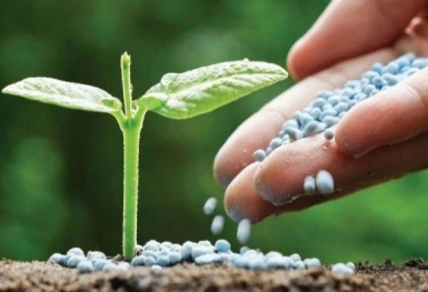 Giá phân bón hôm nay 21/10: Giao dịch chậm
