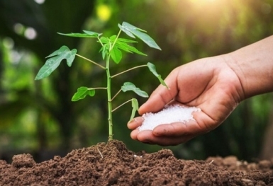 Giá phân bón hôm nay 22/10: NPK Trung Quốc giảm