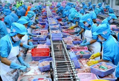 Xuất nhập khẩu hàng hoá Việt Nam chính thức vượt mốc 500 tỷ USD