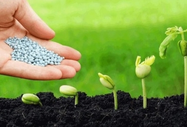 Giá phân bón hôm nay 27/10: Giao dịch chậm