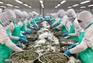 Nỗ lực phục hồi đà tăng trưởng xuất khẩu thủy sản