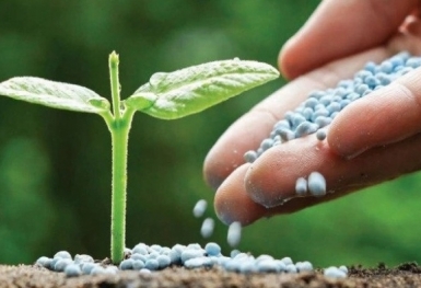 Giá phân bón hôm nay 3/11: Giao dịch ở mức thấp