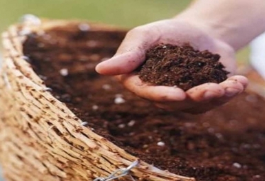 Giá phân bón hôm nay 5/11: NPK chững lại