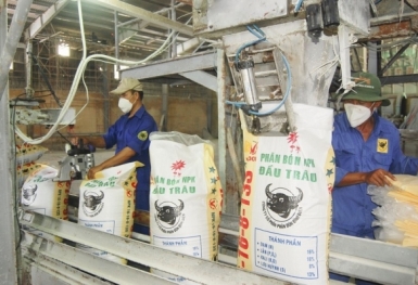 Giá phân bón hôm nay 15/11: Thị trường kém sôi động