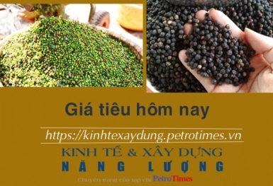 Giá tiêu hôm nay 8/1: Không có biến động