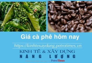Giá cà phê hôm nay 10/1: Tăng mạnh