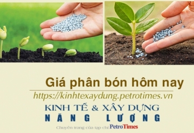 Giá phân bón hôm nay 10/1: NPK Trung Quốc chào giá ổn định