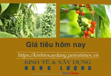 Giá tiêu hôm nay 10/1: Giảm tại thị trường trong nước