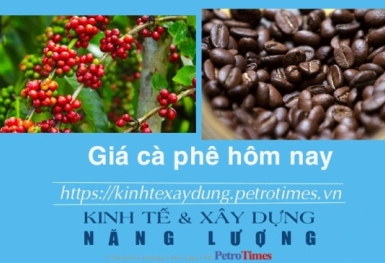 Giá cà phê hôm nay 13/1: Điều chỉnh giảm nhẹ