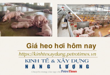 Giá heo hơi hôm nay 13/1: Tăng rải rác ở một vài nơi