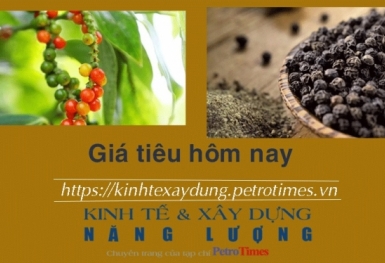 Giá tiêu hôm nay 13/1: Cao nhất ở mức 79.000 đồng/kg