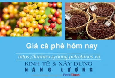 Giá cà phê hôm nay 14/1: Trong nước giảm nhẹ