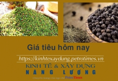Giá tiêu hôm nay 14/1: Giữ ổn định